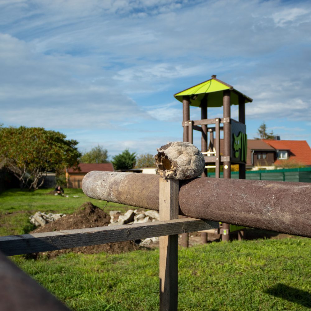 SGH-Spielplatz (29 von 12)